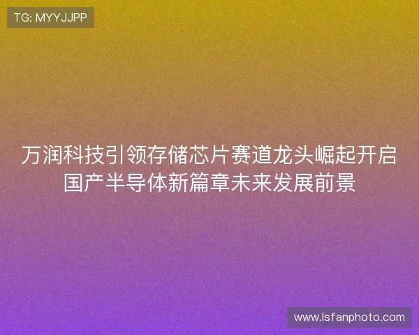 万润科技引领存储芯片赛道龙头崛起开启国产半导体新篇章未来发展前景